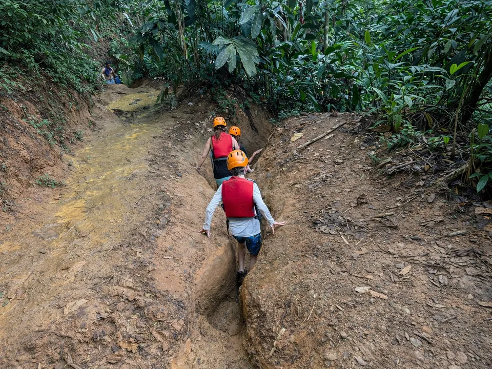 Guide leading guests along the forest trail to the river on the south side of El Yunque